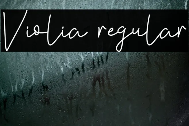 Violia regular Example 3