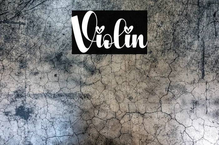 Violin Example 1