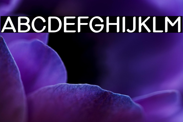 Violina-SemiBold Example 1