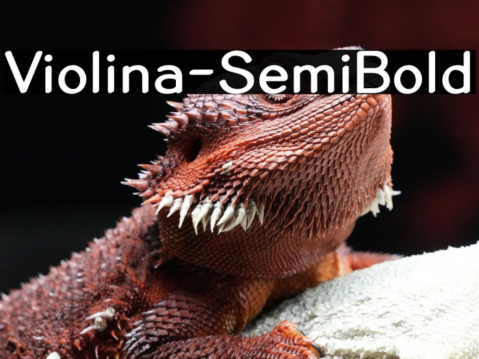 Violina-SemiBold Example 2