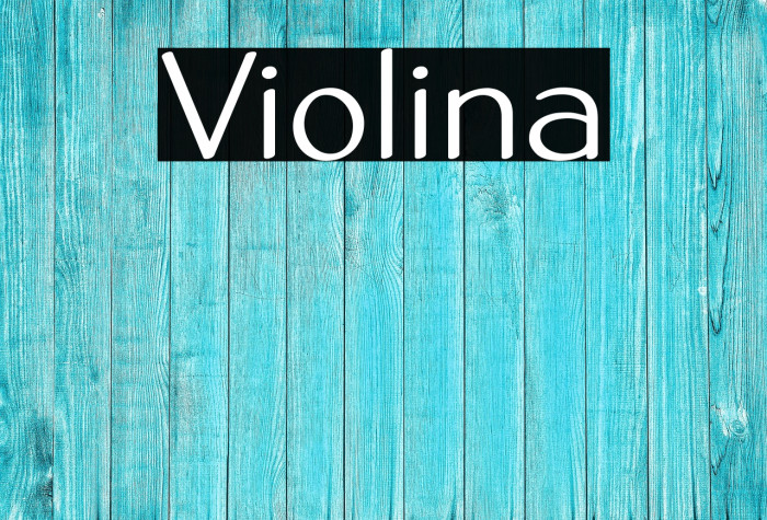 Violina Example 1
