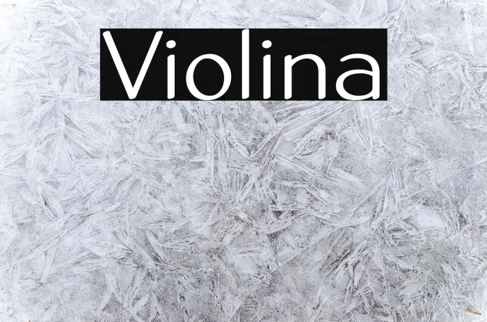 Violina Example 3