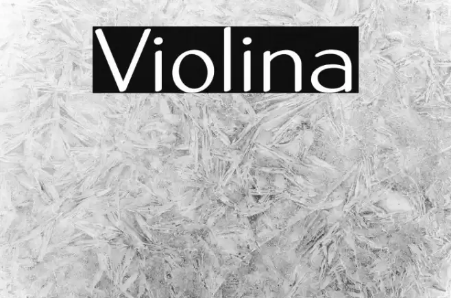 Violina Font examples