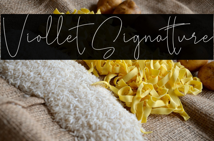 Viollet Signatture Example 1