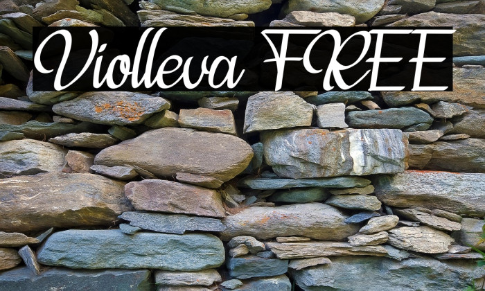 Violleva FREE Example 1