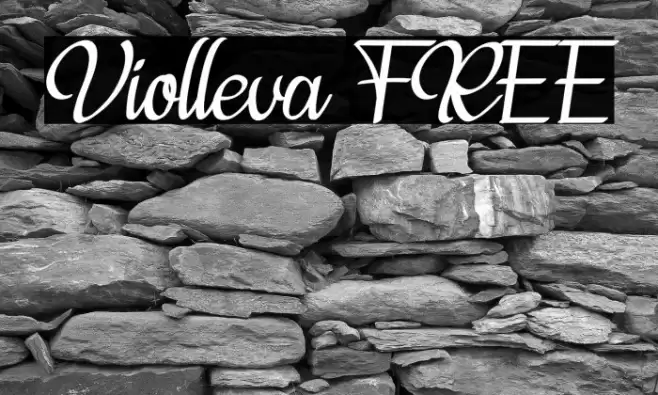 Violleva FREE Font examples