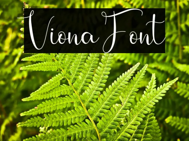Viona Example 2