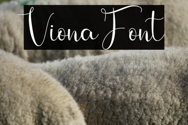 Viona Example 3