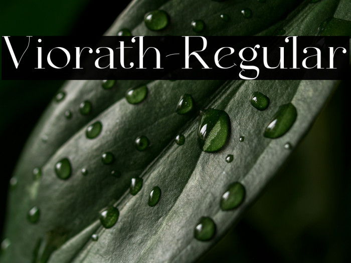 Viorath-Regular Example 1