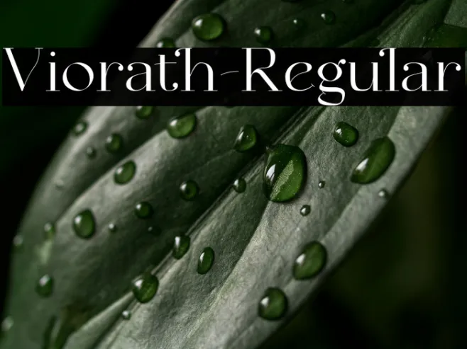 Viorath-Regular Example 1