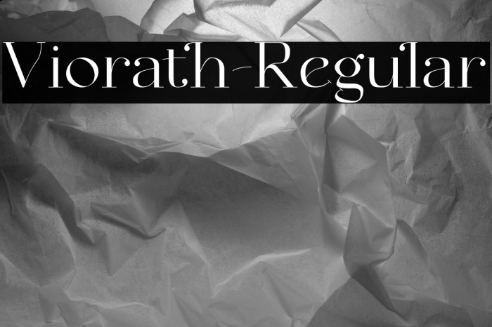 Viorath-Regular Example 2