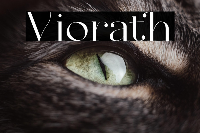 Viorath Example 3