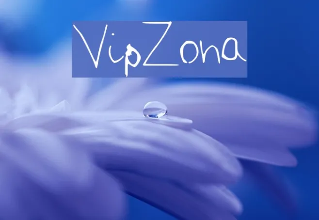 VipZona Example 1