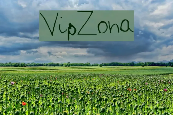 VipZona Example 3