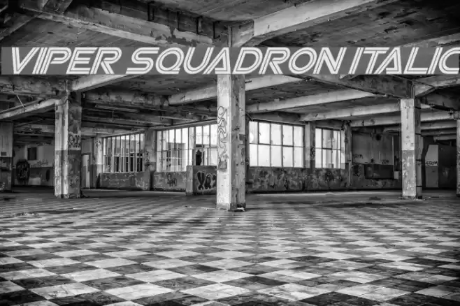 Viper Squadron Italic Font examples