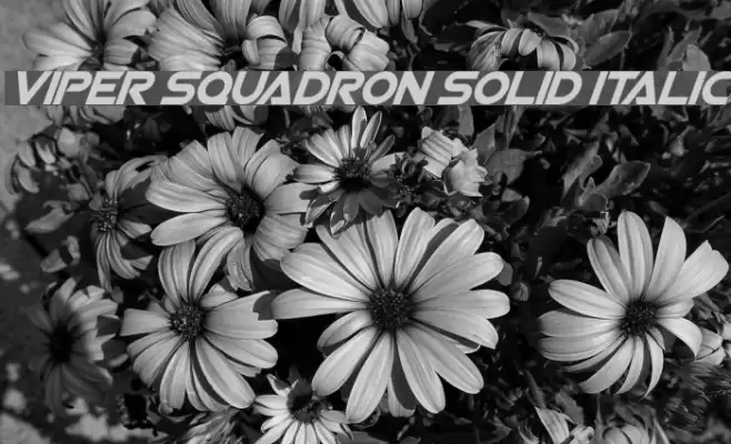 Viper Squadron Solid Italic Font examples
