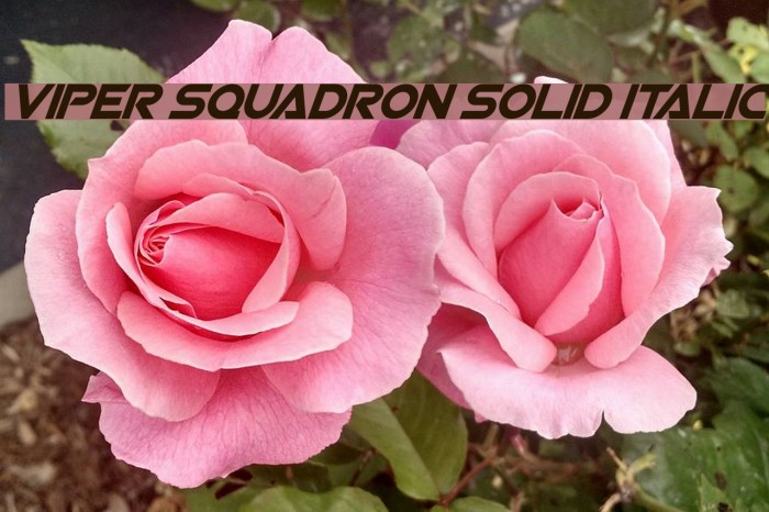 Viper Squadron Solid Italic Font examples