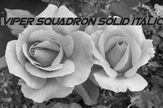 Viper Squadron Solid Italic Font examples