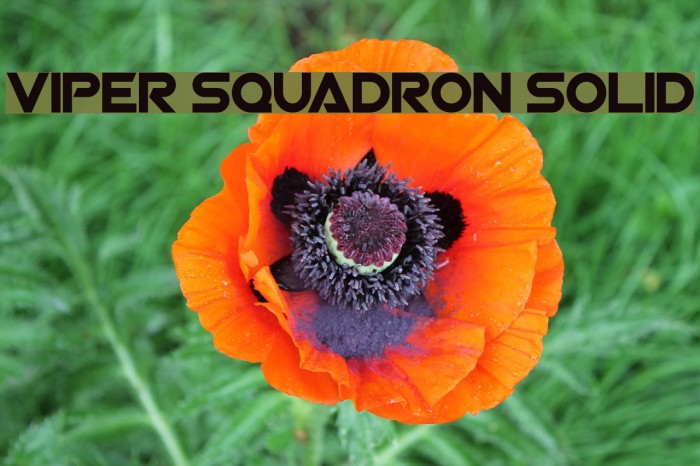 Viper Squadron Solid Font examples
