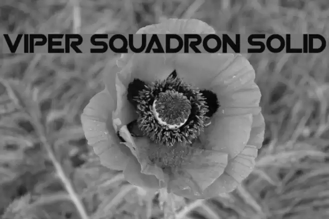 Viper Squadron Solid Polices examples