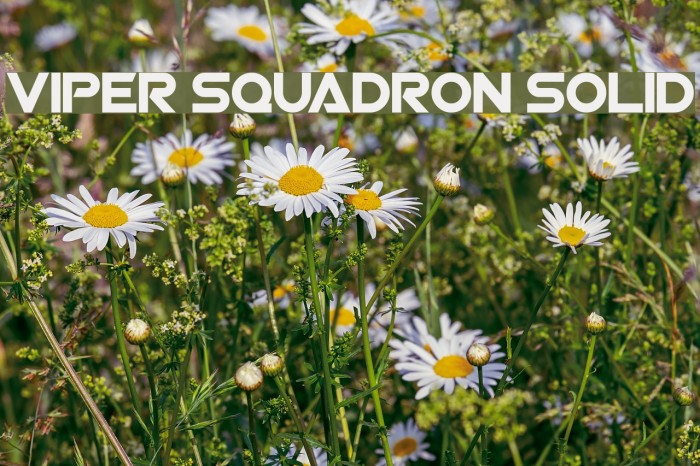 Viper Squadron Solid Font examples
