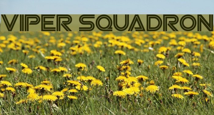 Viper Squadron Font examples