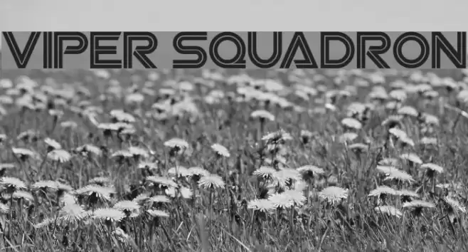 Viper Squadron फ़ॉन्ट examples