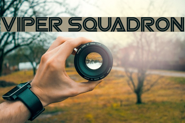 Viper Squadron Font examples