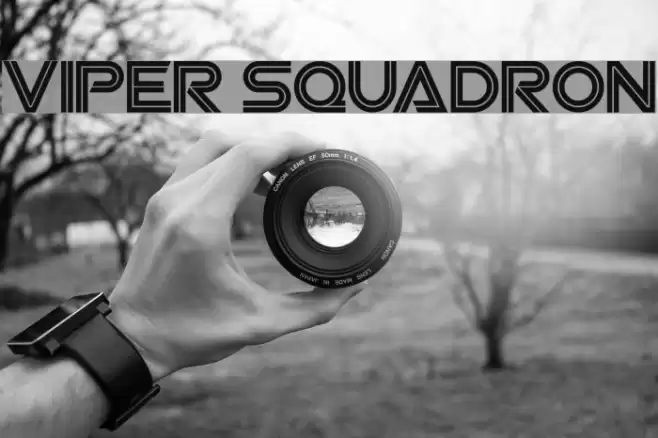 Viper Squadron फ़ॉन्ट examples