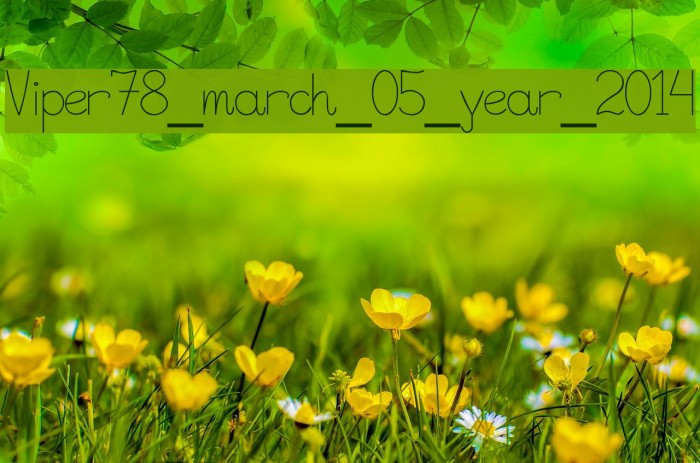 Viper78_march_05_year_2014 Font examples