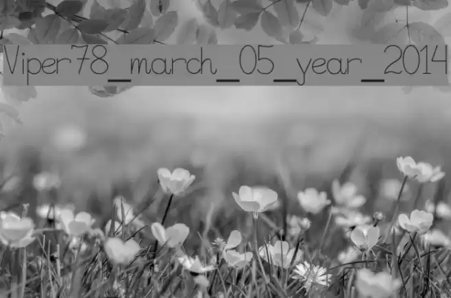 Viper78_march_05_year_2014 Font examples