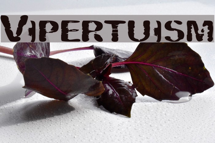 Vipertuism Font examples