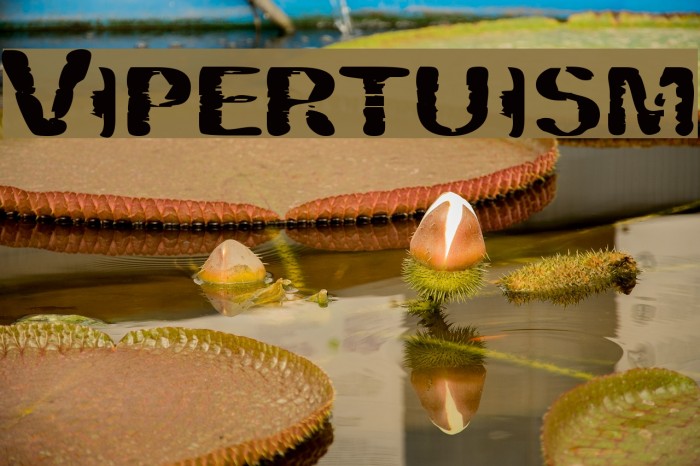 Vipertuism Font examples
