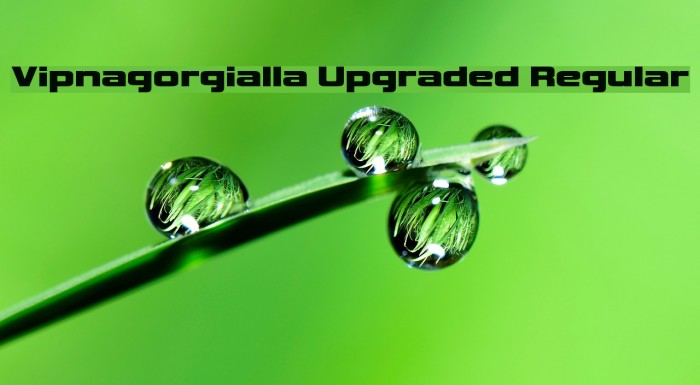 Vipnagorgialla Upgraded Regular Font examples