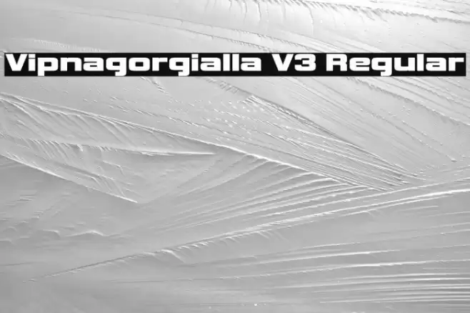 Vipnagorgialla V3 Regular フォント examples