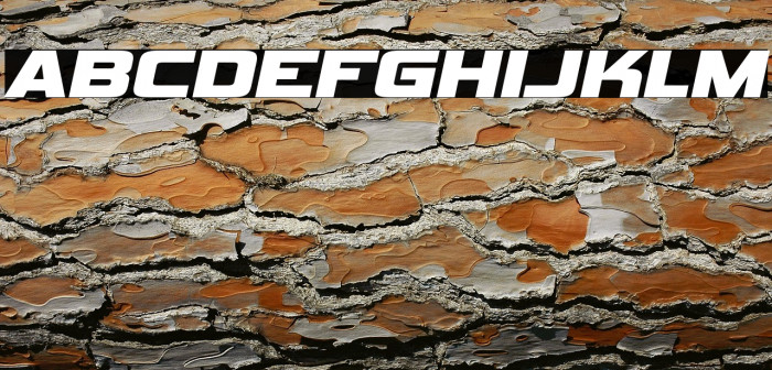 VipnagorgiallaRg-BoldItalic Example 3