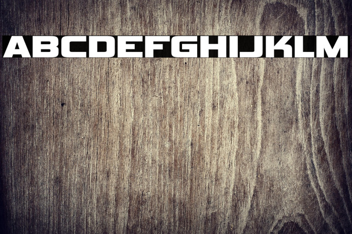 VipnagorgiallaRg-Bold Example 1