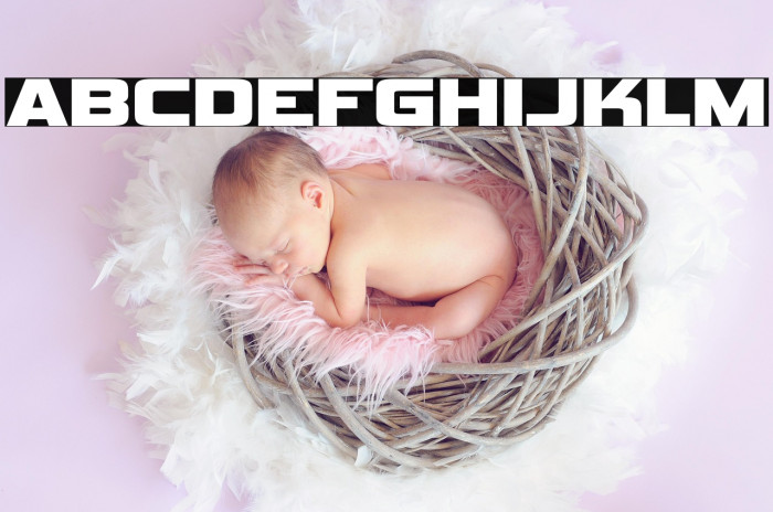 VipnagorgiallaRg-Bold Example 2