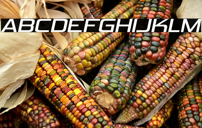 VipnagorgiallaRg-Italic Example 1