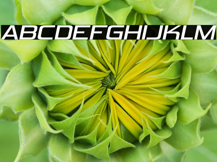 VipnagorgiallaRg-Italic Example 2