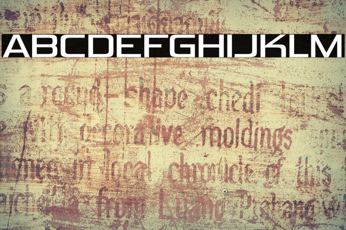 VipnagorgiallaRg-Regular Example 3