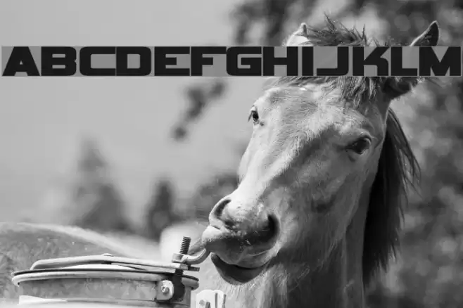 Vipnagorgialla Font examples