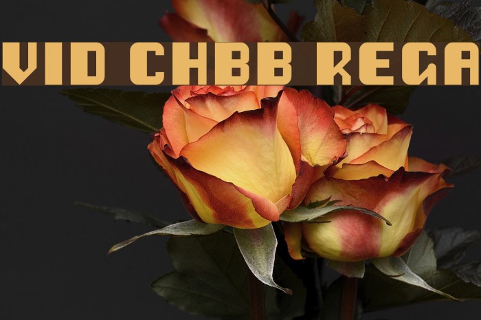 Vipond Chubby Regular Font examples
