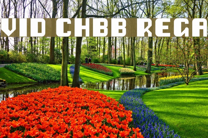 Vipond Chubby Regular Font examples