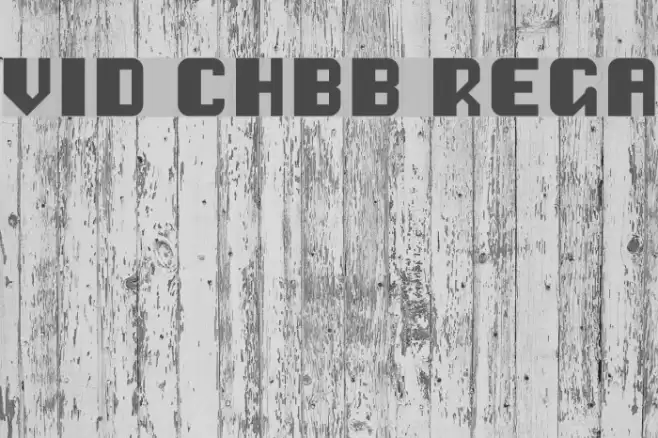 Vipond Chubby Regular Font examples