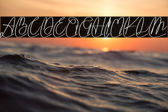 Vippa Willette Example 1