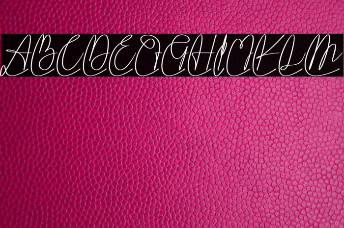 Vippa Willette Example 3