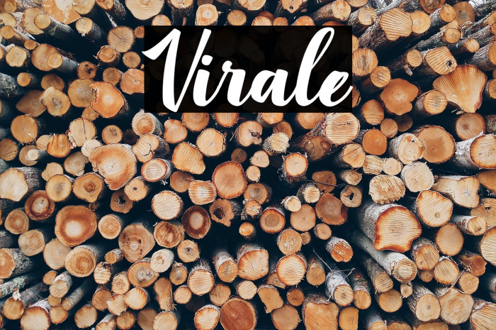 Virale Font examples