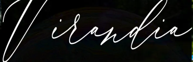 Virandia Example 2