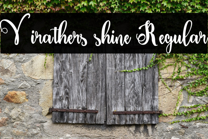 Virathers shine Regular Example 3